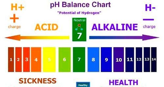 pH level charts how to find out if your body is acidic or alkaline the secret to preventing acne and what foods will stop breakouts from forming for clear skin 